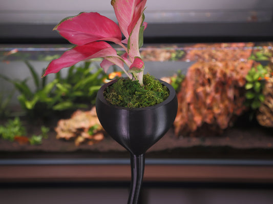 How Self-Watering Wicking Pots Work (And Why They're Better for Your Plants)