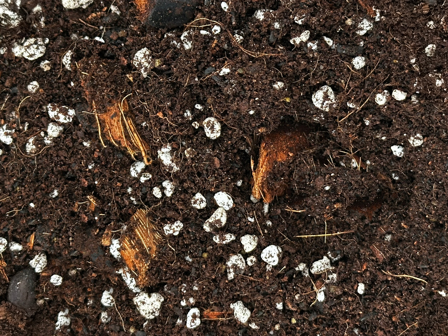 Mossari Self-Watering Planter Soil – Enriched Blend