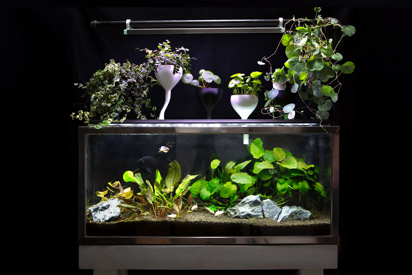 Compact Aquarium-Mounted Planter – Self-Watering Design
