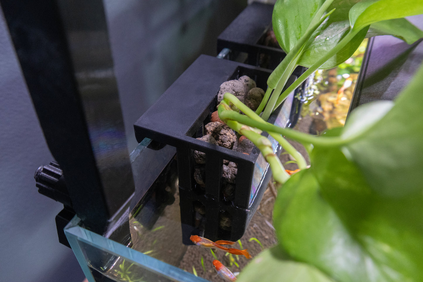 In-tank planter basket for growing plants directly in aquariums.