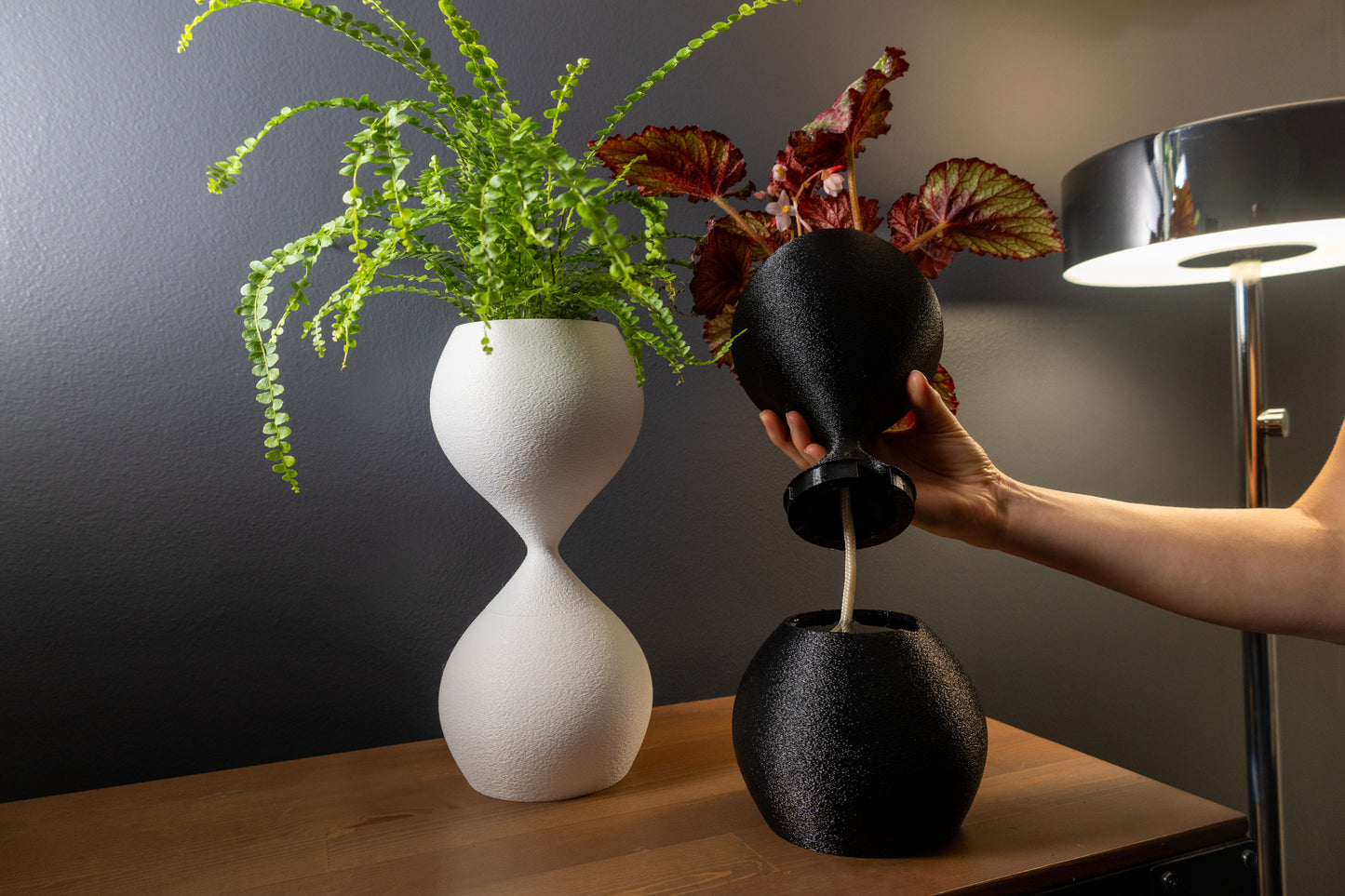 Oasis planter for houseplants featuring a sleek self-watering wicking system for effortless plant care.