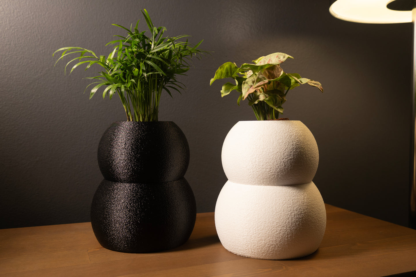 Modern Soma self-watering planter designed for healthy houseplants.