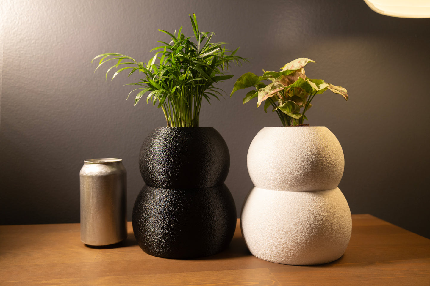 Soma wicking pot with sculptural design for easy indoor plant maintenance.