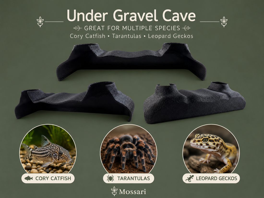 How to Install an Under-Gravel Cave in an Aquarium or Terrarium