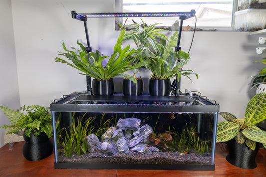Grow Houseplants Above Your Aquarium: A Guide to Low-Profile Self-Watering Planters