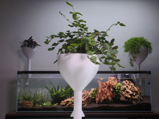 Small or Large Aquarium Wicking Pot? How to Choose and Set It Up