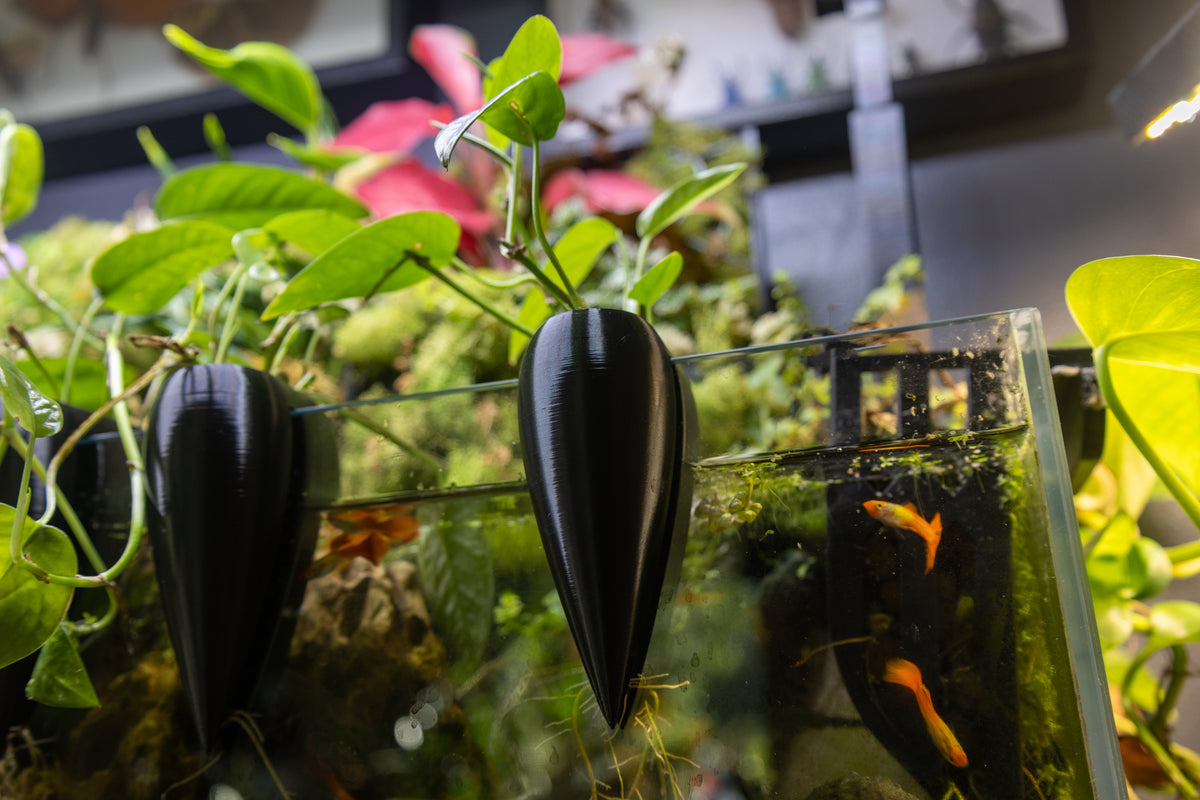 Mossari Teardrop Plant Propagator for rooting houseplant cuttings at an aquarium rim