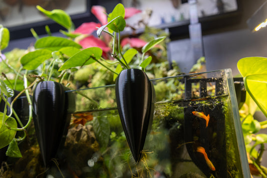 Teardrop Plant Propagator