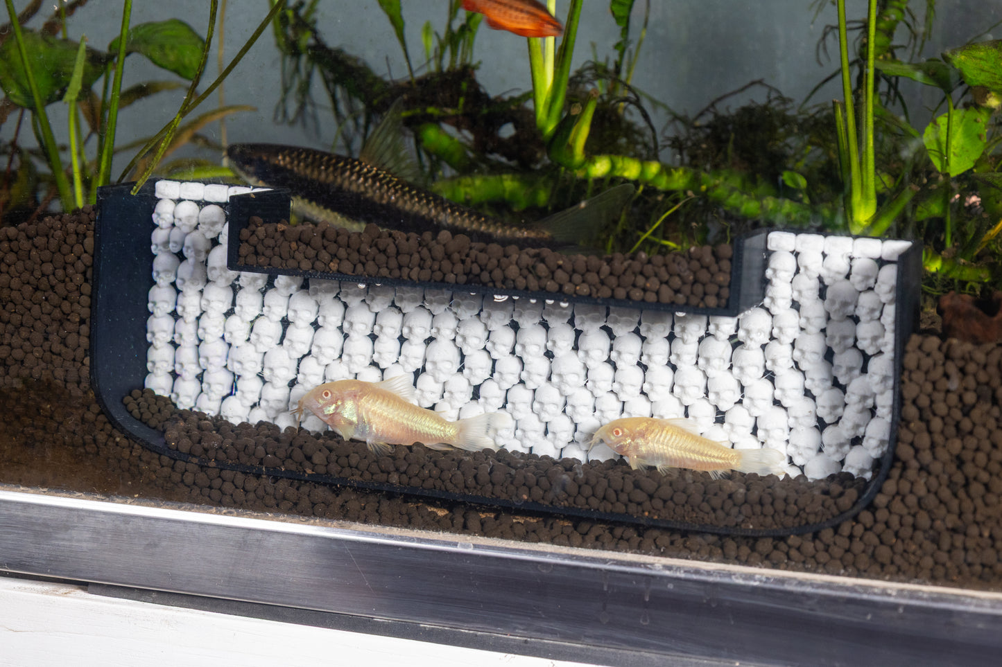 Catacomb Skull Aquarium Cave