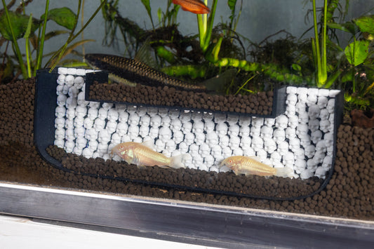 Catacomb Skull Aquarium Cave