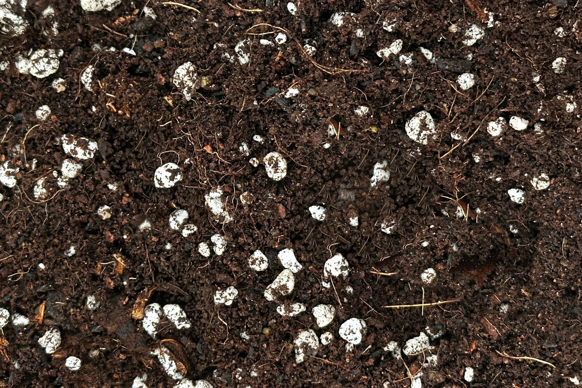 wicking potting mix Mossari Enriched Blend Substrate