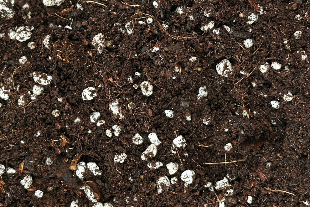 Mossari Enriched Blend Substrate - Self-Watering Planter Soil