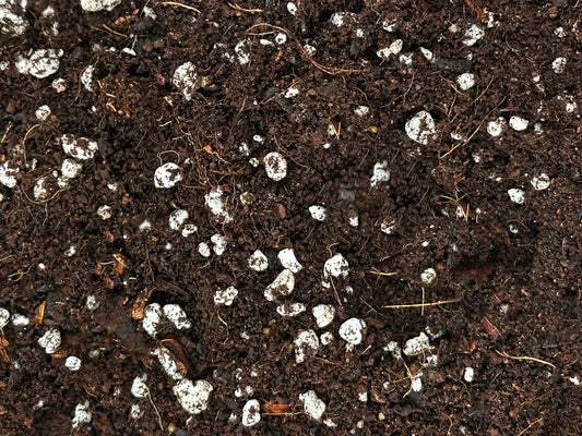 Mossari Self-Watering Planter Soil – Enriched Blend