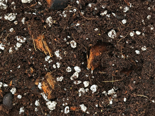 Mossari Self-Watering Planter Soil – Enriched Blend