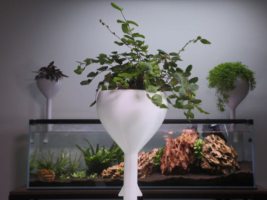 Compact Aquarium-Mounted Planter – Self-Watering Design