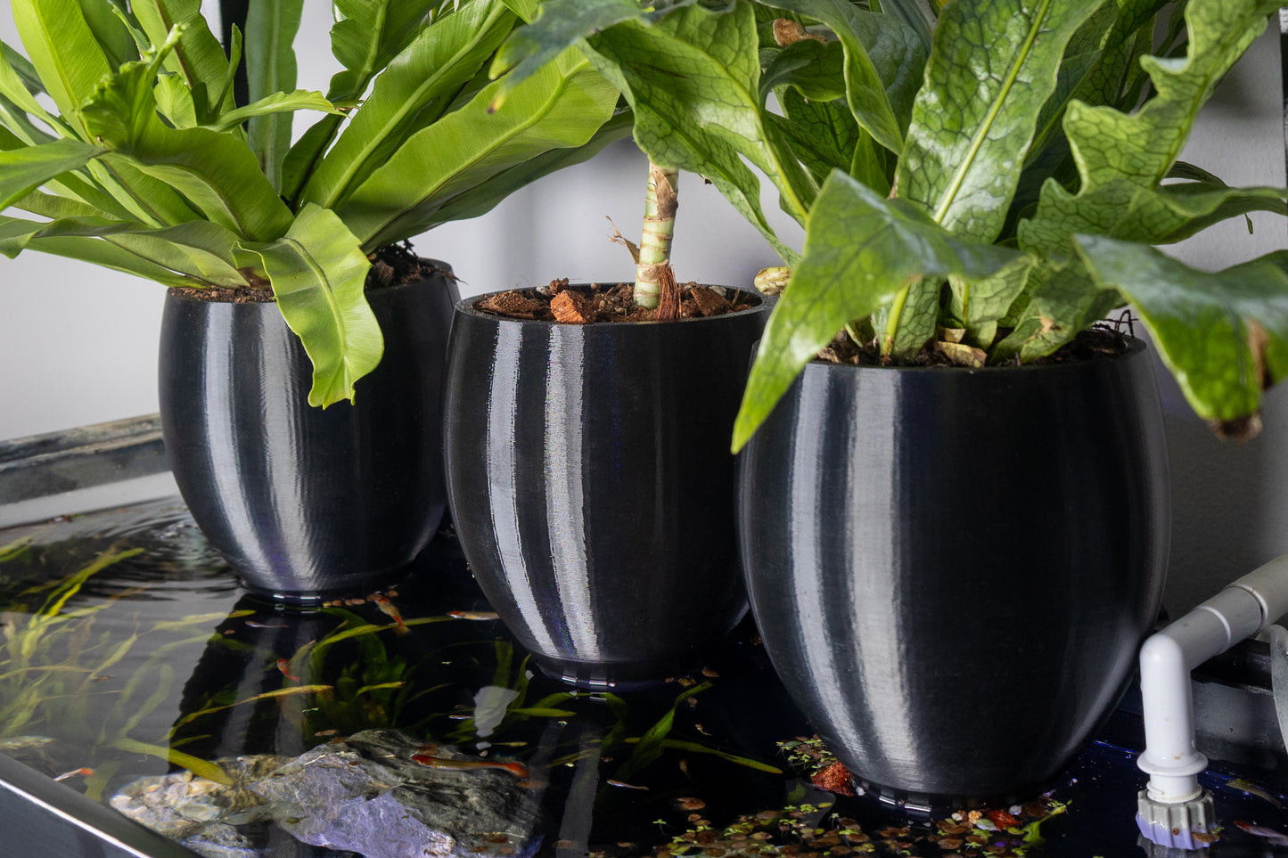 Low-Profile Aquarium Self-Watering Pot – LECA & Substrate Planter