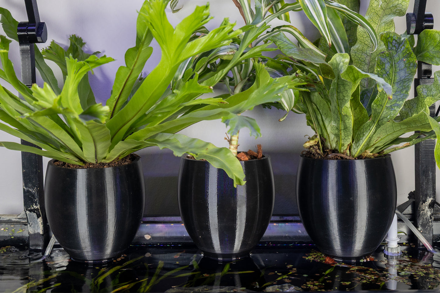 Low-Profile Aquarium Self-Watering Pot – LECA & Substrate Planter