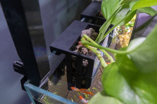 In-tank planter basket for growing plants directly in aquariums.
