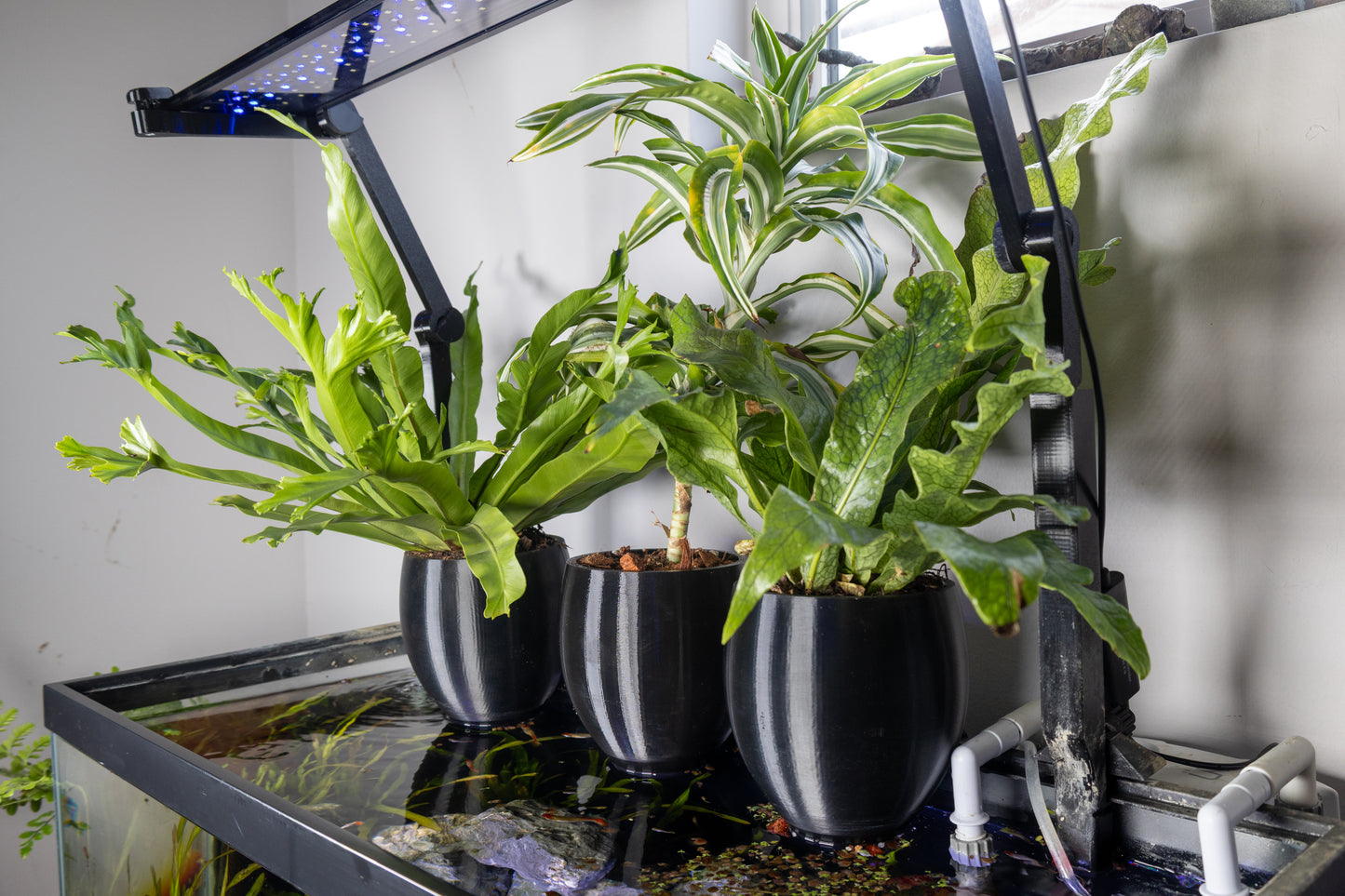 Low-Profile Aquarium Self-Watering Pot – LECA & Substrate Planter