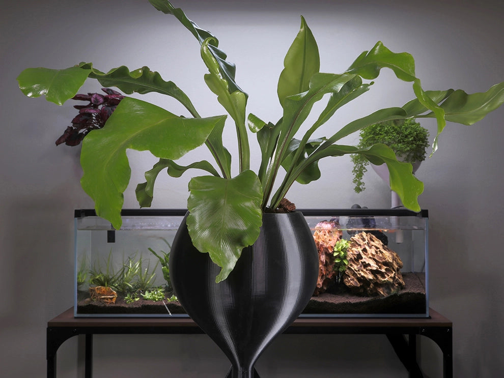Medium black wicking pot designed for aquariums to grow healthy indoor houseplants
