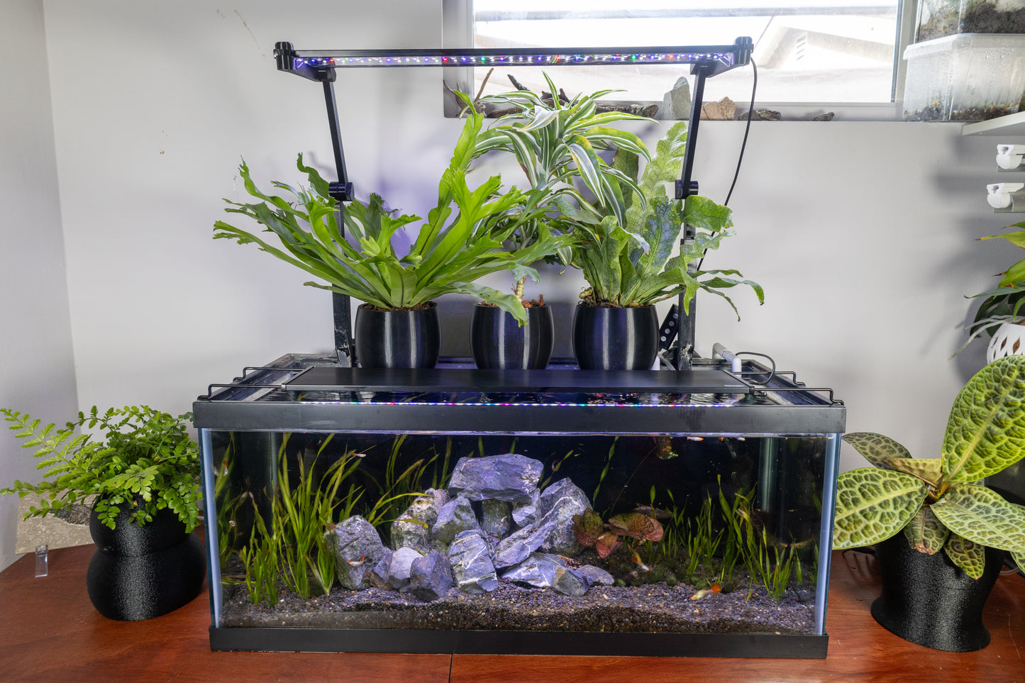 Low-Profile Aquarium Self-Watering Pot – LECA & Substrate Planter