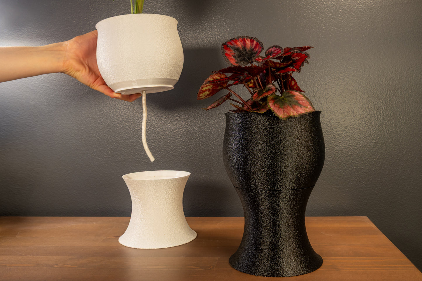 Nuna Self-Watering Planter - Up to a Month Between Refills | Mossari