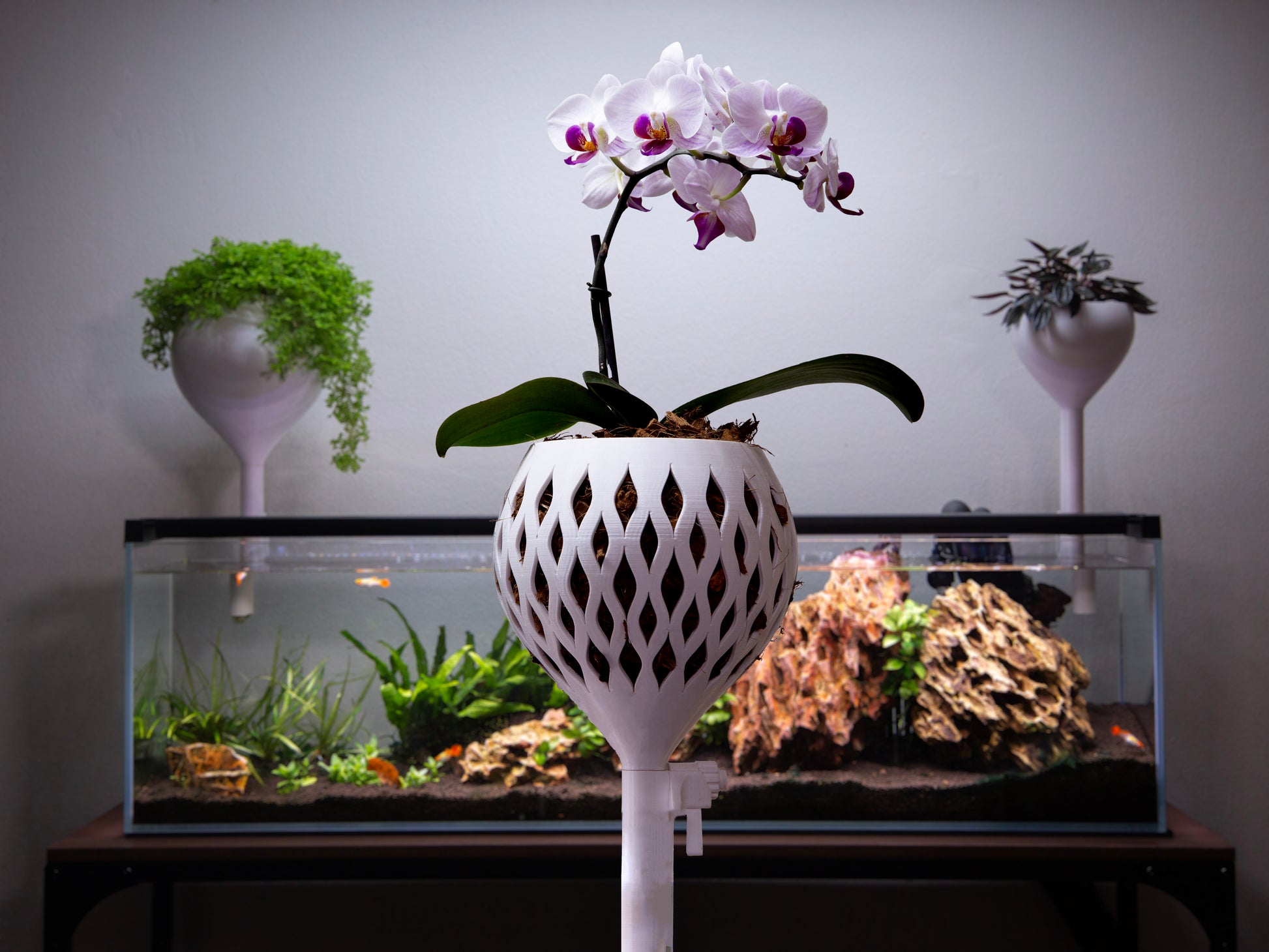 self watering planter wicking Orchid Aquarium Wicking Planter – Self-Watering Orchid Pot | Mossari
