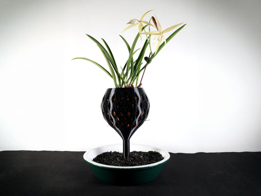 Orchid wicking pot with built-in self-watering system for healthy plant growth