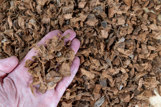 Orchid Substrate – 100% Cocoa Chips for Aeration & Drainage