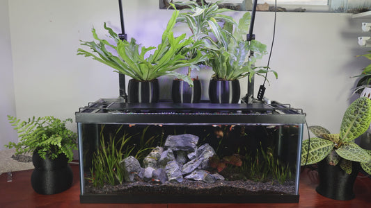 Low-Profile Aquarium Self-Watering Pot – LECA & Substrate Planter