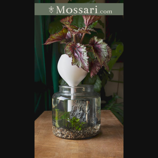 Self-watering freestanding planter for large indoor houseplants