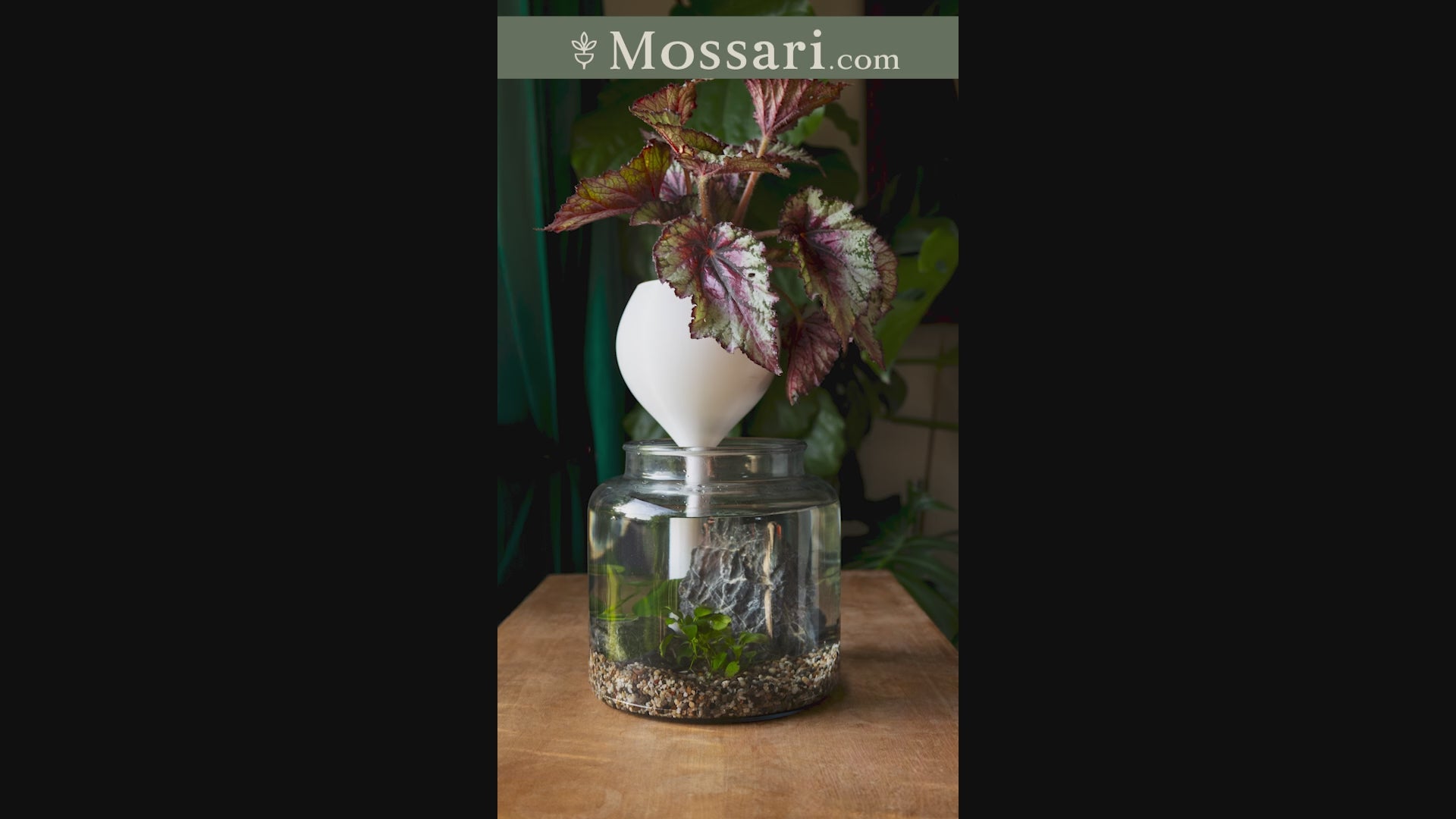 Self-watering freestanding planter for large indoor houseplants
