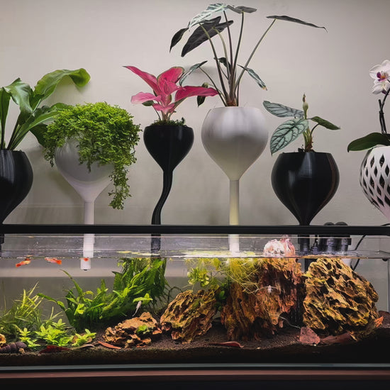 Medium black self-watering planter for aquariums with modern design