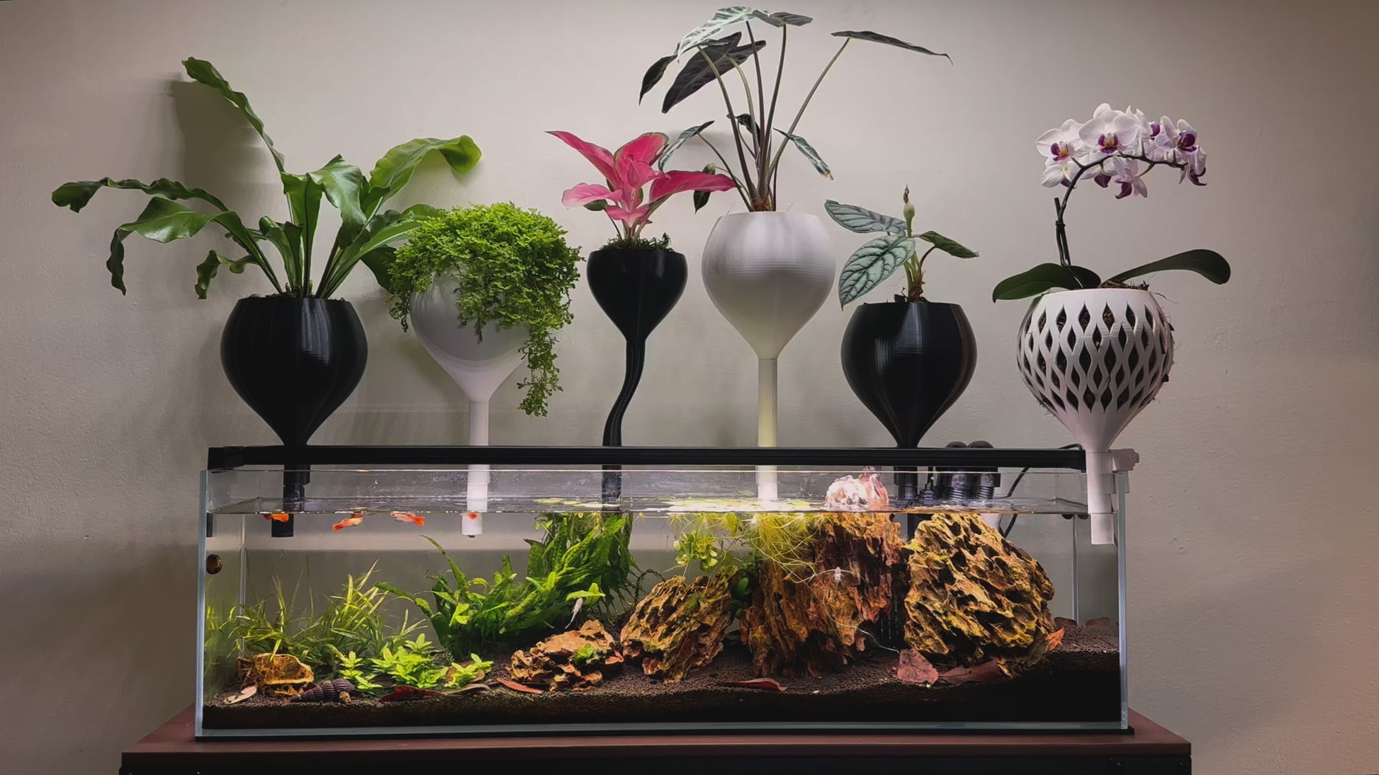 Medium black self-watering planter for aquariums with modern design