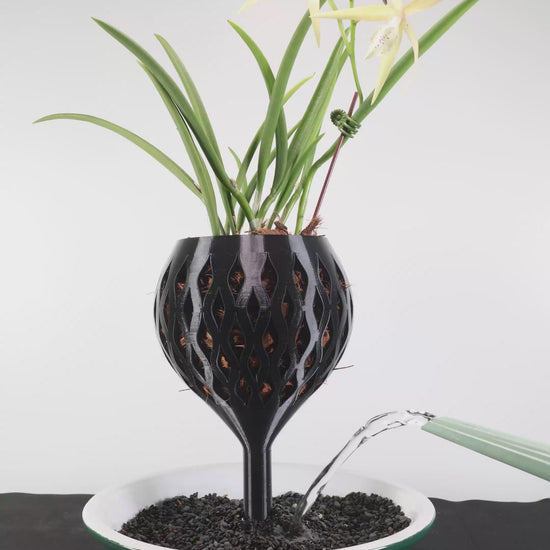 Mossari orchid self-watering wicking pot in a modern sculptural design