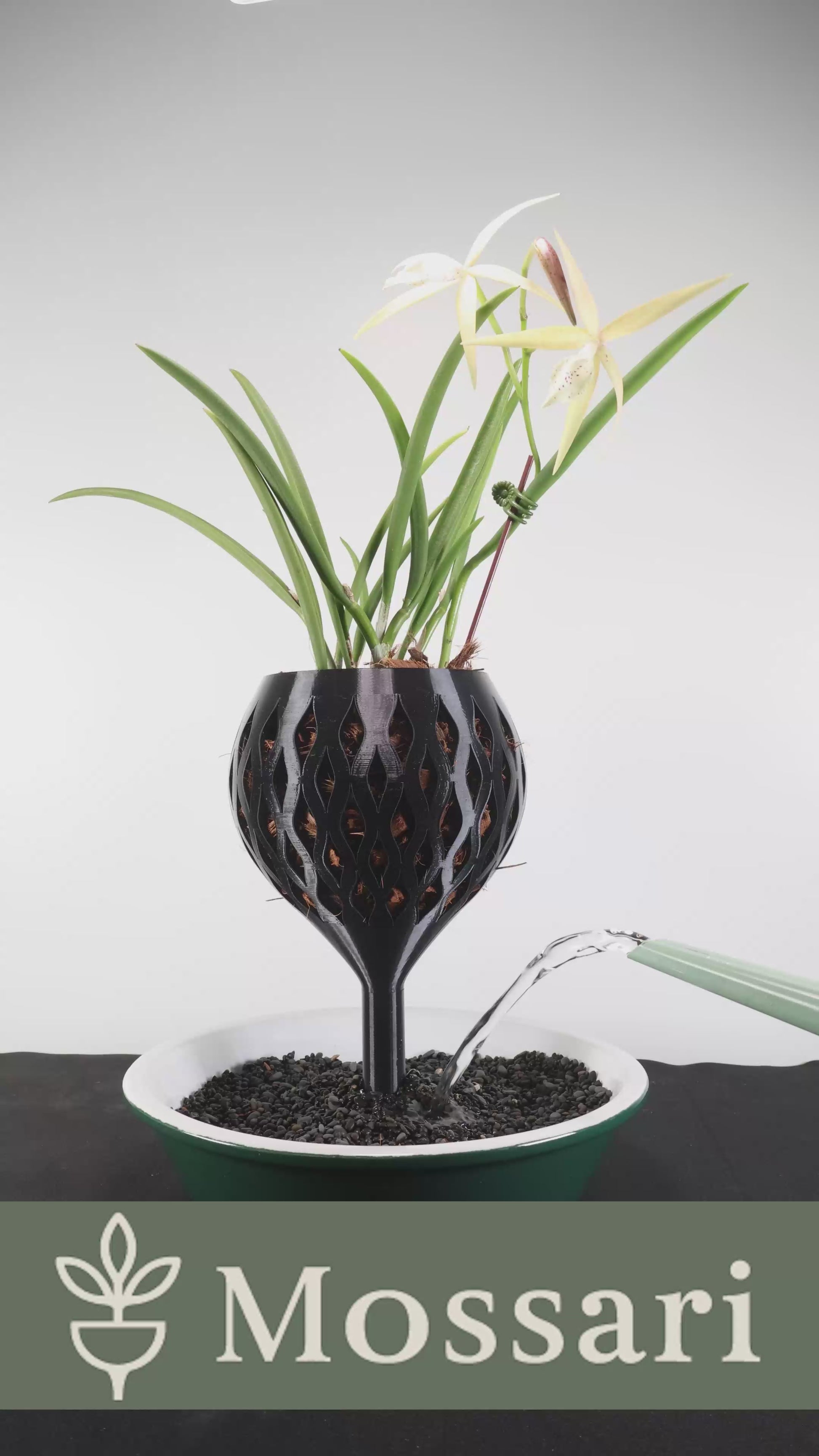 Mossari orchid self-watering wicking pot in a modern sculptural design