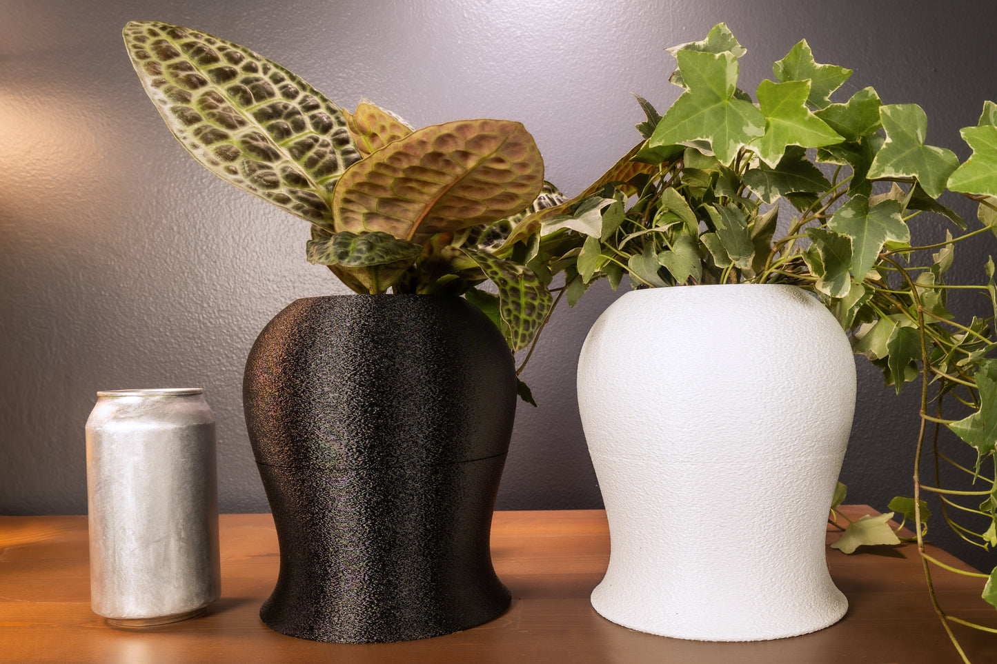 Runae Self-Watering Planter – Water Once a Month | Mossari