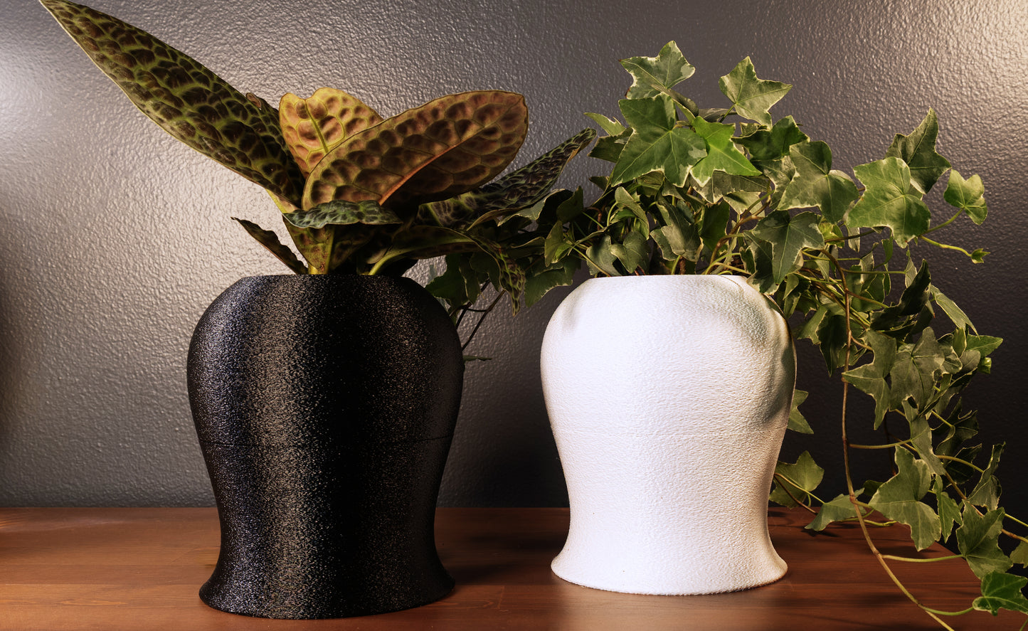 Runae Self-Watering Planter – Water Once a Month | Mossari