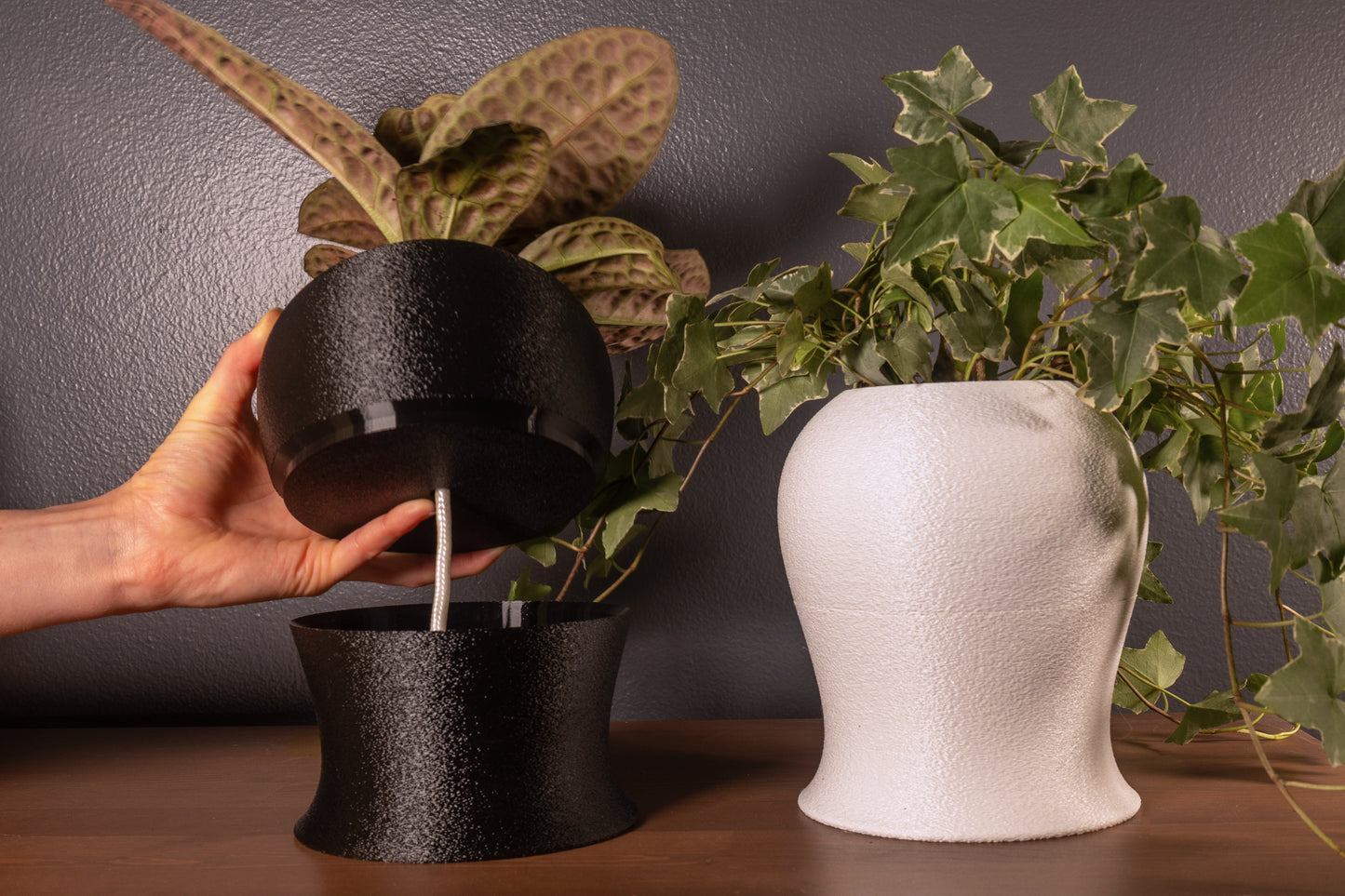 Runae Self-Watering Planter – Water Once a Month | Mossari