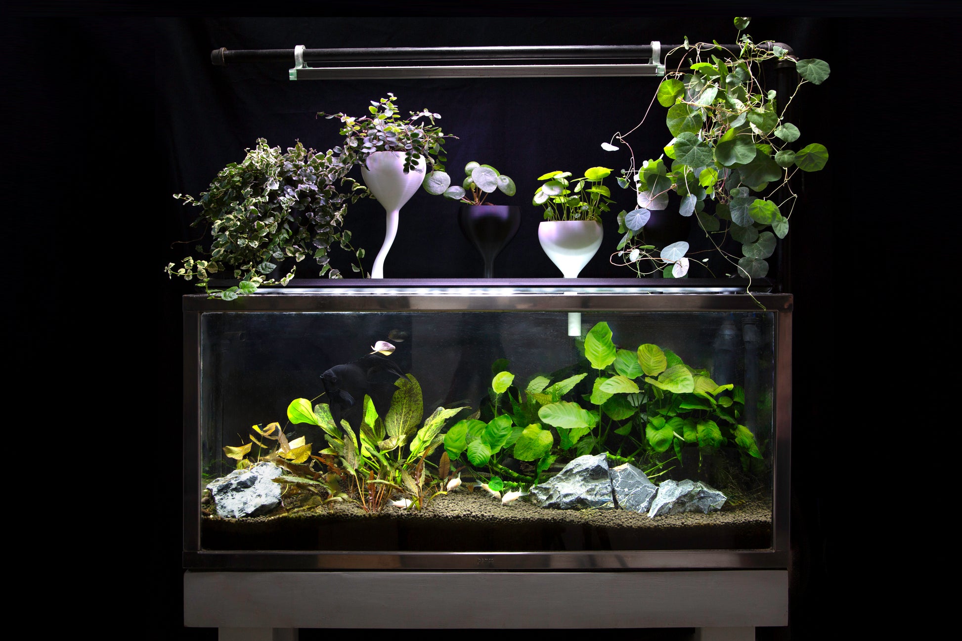 Self-watering aquarium planter for small houseplants