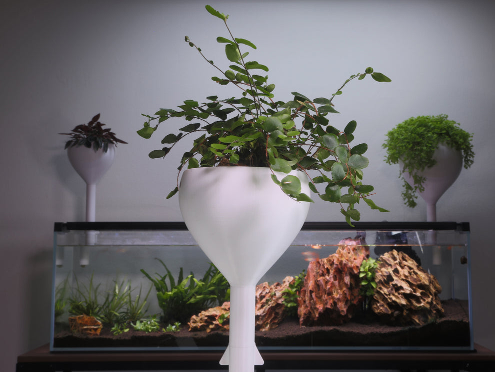 Small white houseplant wicking pot designed for aquariums