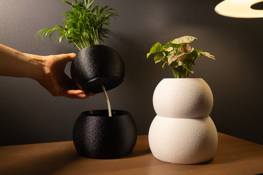 Soma sculptural self-watering wicking pot for stylish indoor plant care.