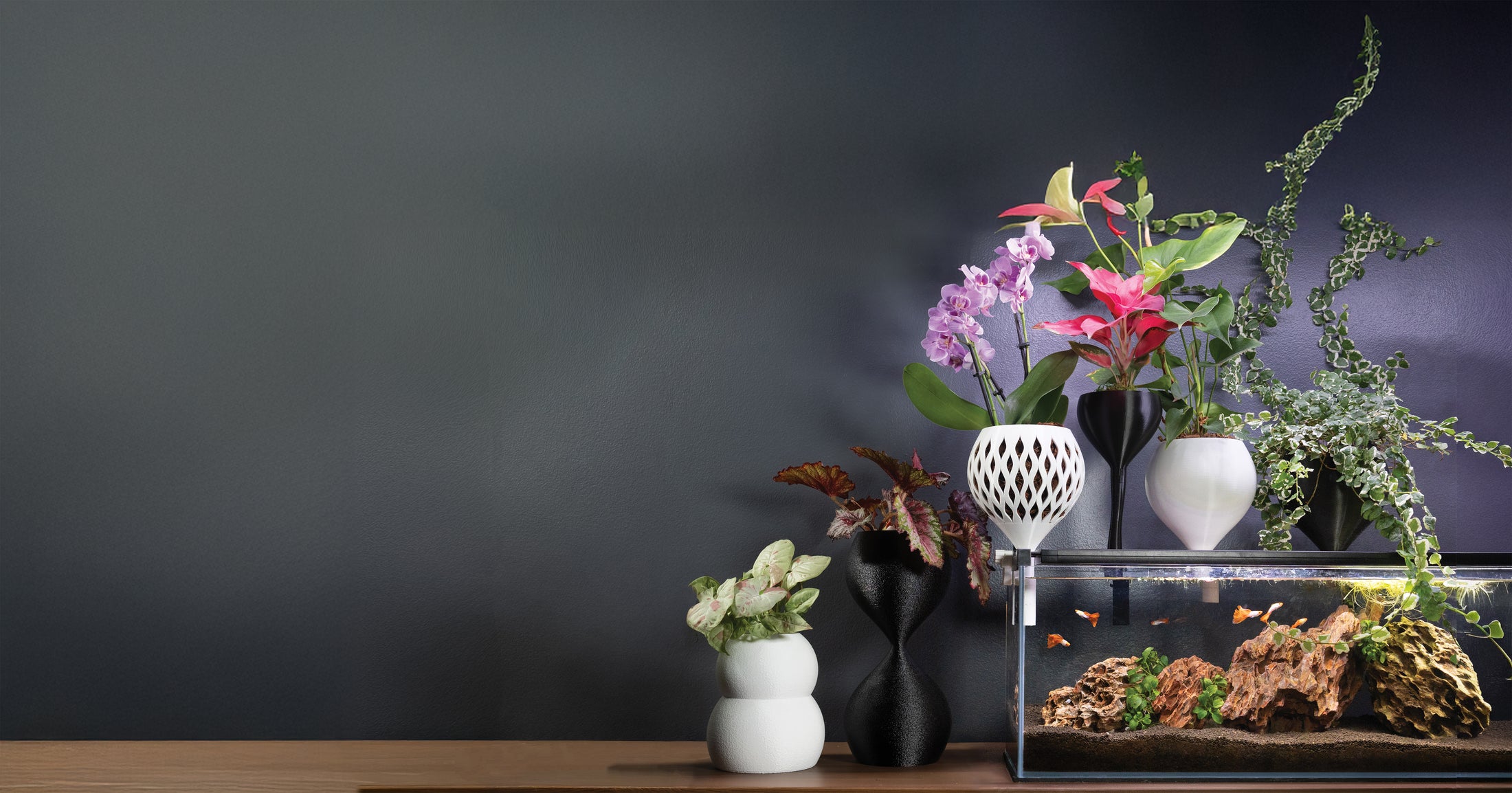 Self-Watering Planters